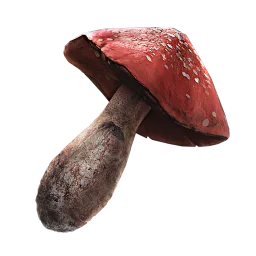 Weltcap
