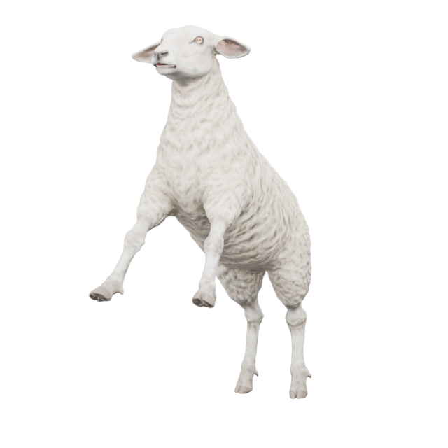 Shepherd