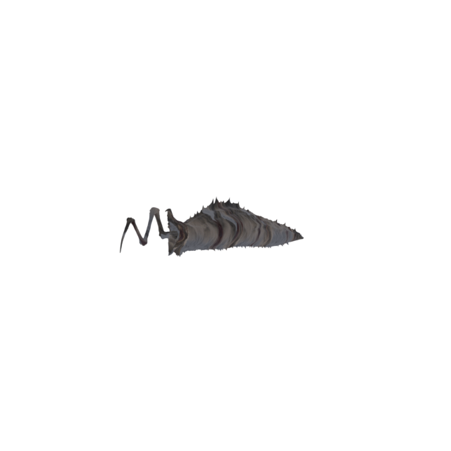 Slug