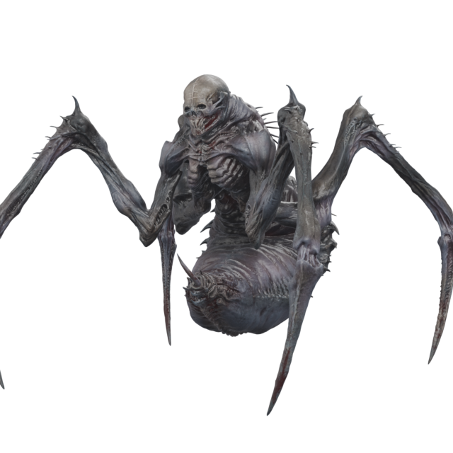Spider Bro